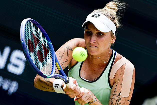 Vondroušová na trávě zdolala i Šnajderovou, do čtvrtfinále postoupil i Lehečka