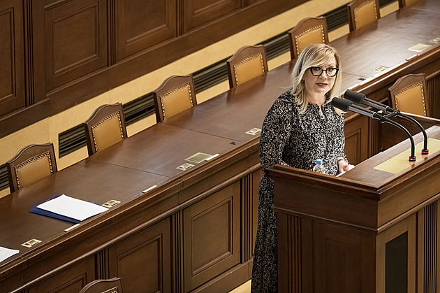 Česká vláda spolupracovala s mafií, křičela ve Sněmovně Schillerová