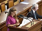 Opozi�ní hnutí ANO iniciovalo mimo�ádnou sch�zi Sn�movny s cílem vyslovit...