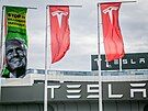 Aktivist z hnut Greenpeace vylezli rno na stechu prodejny Tesla v...