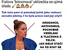 Vyjden jihlavskho nmstka primtora Radka Popelky na adresu ministryn...