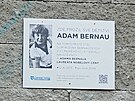 Pamtn deska Adama Bernaua v Brfov ulici v brnnskch aboveskch (12....