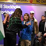 vdsk ekologick a propalestinsk aktivistka Greta Thunbergov na letiti ve...