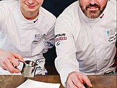 Jarní menu eských drah (11. ervna 2025)