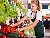 ilustra�ní snímek