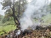 Sedm lidí vetn dítte zemelo po pádu vrtulníku v Himálaji na severu Indie....