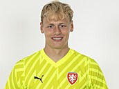 Luk Hornek