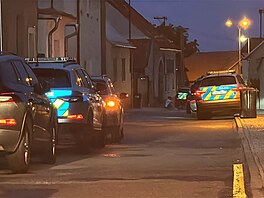 Policie zasahovala v Kostelci nad ernými lesy u Prahy proti stelci, který na...