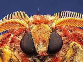 Kadý snímek, který poídila dvojata fotograf Maceo a Andrea Grammatico,...