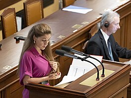 Opoziní hnutí ANO iniciovalo mimoádnou schzi Snmovny s cílem vyslovit...