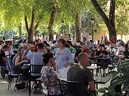 Symbolem rakousko-uherské správy a ikonou centra se staly vysoké platany. Stá�í...