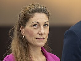Tisková konference ministryn spravedlnosti E. Decroix a námstk K. Dvoáka a...