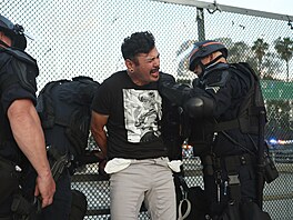 Demonstrace odprc prezidenta Donalda Trumpa ve stovkách amerických mst pod...
