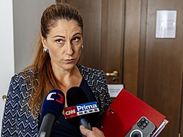 Ministryn spravedlnosti Eva Decroix pichází na jednání vlády prezentovat...