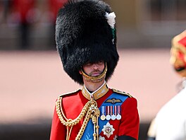 Princ William nebyl s vousy tém k poznání (Trooping the Colour 14. ervna...
