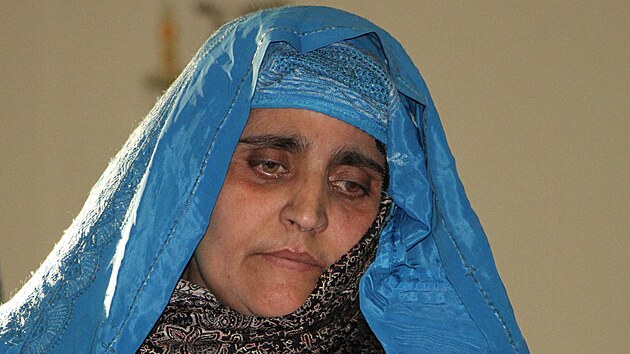 arbat Gula na nvtv afghnskho prezidentskho palce (9. listopadu 2016)