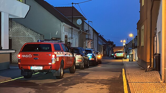 Policie zasahovala v Kostelci nad ernmi lesy u Prahy proti stelci, kter na zahrad rodinnho domu zabil dva lidi. (15. ervna 2025)