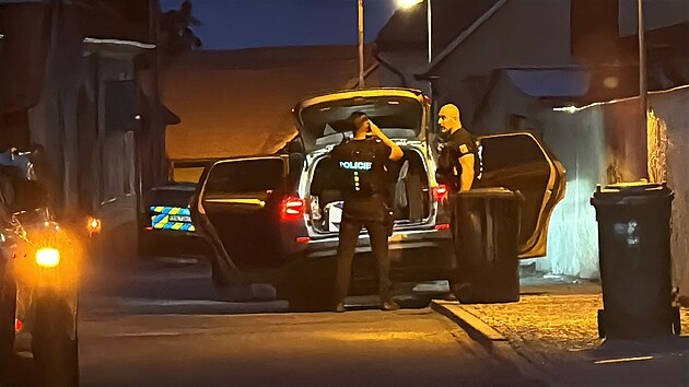 Policie zasahovala v Kostelci nad ernmi lesy u Prahy proti stelci, kter na zahrad rodinnho domu zabil dva lidi. (15. ervna 2025)