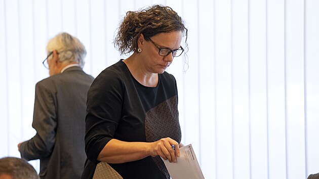 Radn zahjili volbu novho generlnho editele esk televize. Z 21 kandidt, kte podali pihlku a televizn projekt, vybrali hned v prvnm kole ptici finalist. (11. ervna 2025)