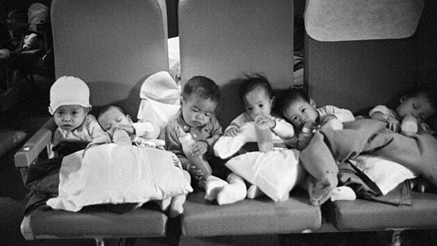 Operace Babylift v plnm proudu.