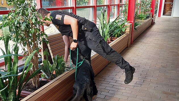 Policie evakuovala bazn v Ostrav. Po vbunin na mst ptrali specialist. (15. ervna 2025)
