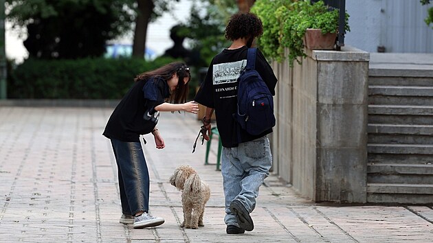 Irnci se psy v Tehernu. rnsk ady se nap zem sna o omezen venen. (8. ervna 2025)