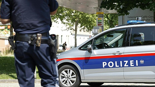 Čeští manželé loupili v Rakousku. Při útěku před policií havarovali v kradeném autě