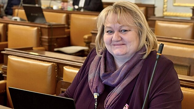Poslankyn� STAN Hana Naiclerová, která se nezú�astnila hlasování o ned�v��e...