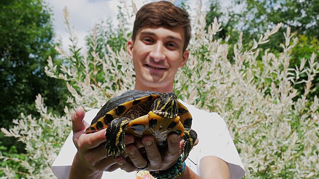 Zhruba desetilet� �elva ob�v� oplocen� jez�rko na zahrad�. Jednou se j� povedlo ut�ct a ud�lala si t��m�s��n� pr�zdniny v bl�zk� �ece.