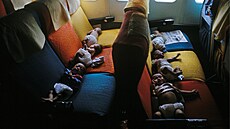 Ameriané bhem operace Babylift evakuovali z Jiního Vietnamu více ne ti...