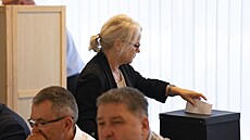 Rada �eské televize si vybrala p�t finalist� a za týden bude mít ve druhém kole mo�nost zvolit jejího nového �éfa.