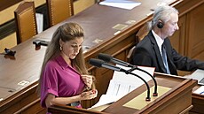 Opoziční hnutí ANO iniciovalo mimořádnou schůzi Sněmovny s cílem vyslovit...