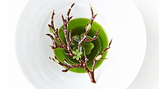 Dánská restaurace Geranium se umístila na prvním míst ebíku Worlds 50 Best...