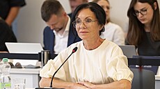 Pedsedkyn dozorí rady Czech News Center Libue muclerová pedstavila Rad...