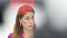 Tisková konference ministryn spravedlnosti E. Decroix a námstk K. Dvoáka a...