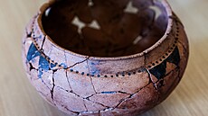 Tisková konference k ukonení záchranného archeologického výzkumu v jednom z...