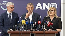 Tisková konference hnutí ANO. Na snímku Karel Havlíek, Andrej Babi a Alena...