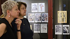 Výstava Kupka a karikatura - Zrcadla pravdy v Museu Kampa trvá od 14. ervna do...
