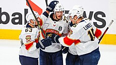 Floridská radost po gólu v utkání s Edmontonem.