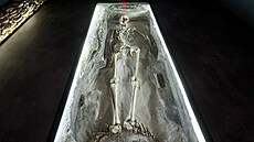 Nová expozice s kosterními pozstatky takzvaného hrádeckého vampýra Tobiáe