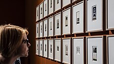 Výstava David Lynch: Up In Flames v praském DOXu.