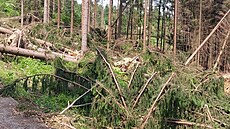 Následky vichice mezi Mosty u Jablunkova, Hravou a Bukovcem na...