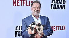 Arnold Schwarzenegger a prasátko Henry v Los Angeles na premié�e druhé �ady...