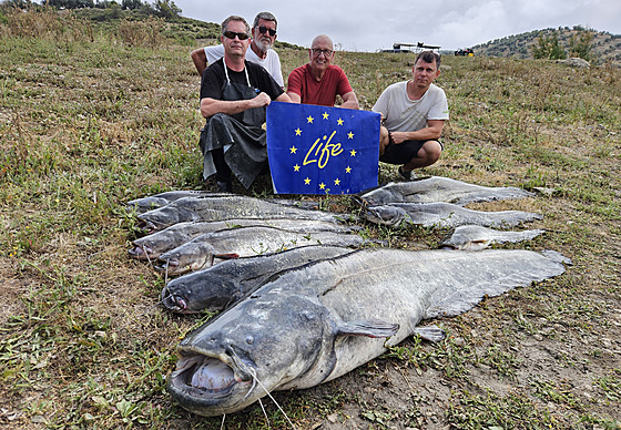 Tým odborník z mezinárodního projektu Life Predator se vyfotil se sumci...