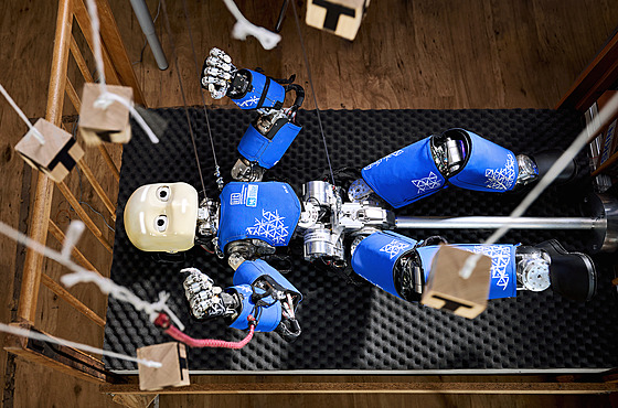 Humanoidního robota iCub vychovávají vdci z Fakulty elektrotechnické.