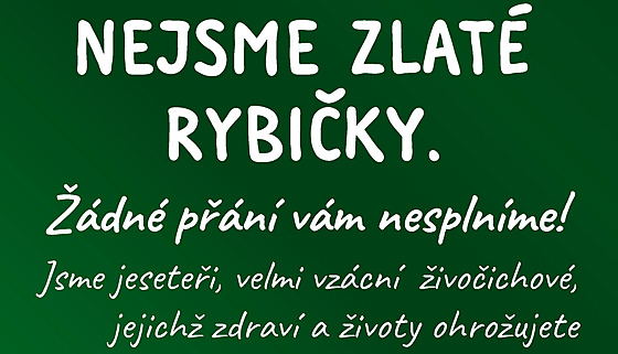Ped zaátkem hlavní sezony v Zoo Jihlava jsou návtvníci opt drazn...
