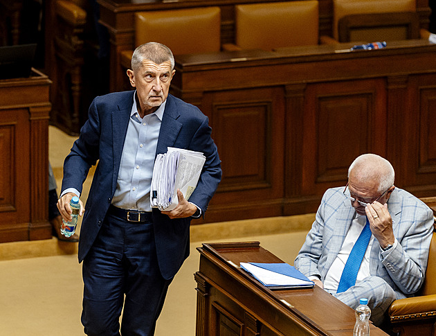 Politický proces, říká Babiš. Kvůli Čapímu hnízdu dá trestní oznámení na znalce