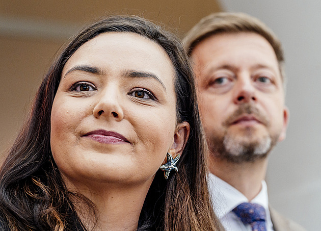 Starosty naštvala Decroix, výsledek jednání o bitcoinech nechtějí předjímat