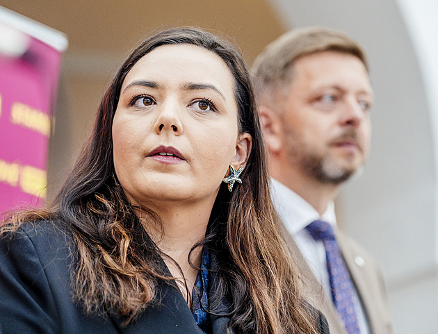 Slušní a kultivovaní poslanci? Něco podobného nečekejme ani od snů starostenských kandidátek