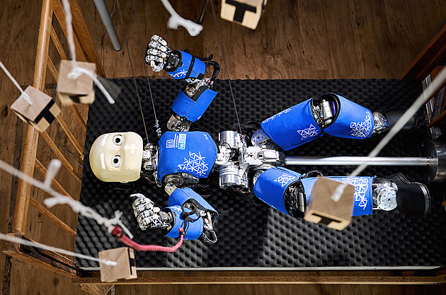 Humanoidního robota iCub vychovávají vdci z Fakulty elektrotechnické.